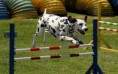 Agility